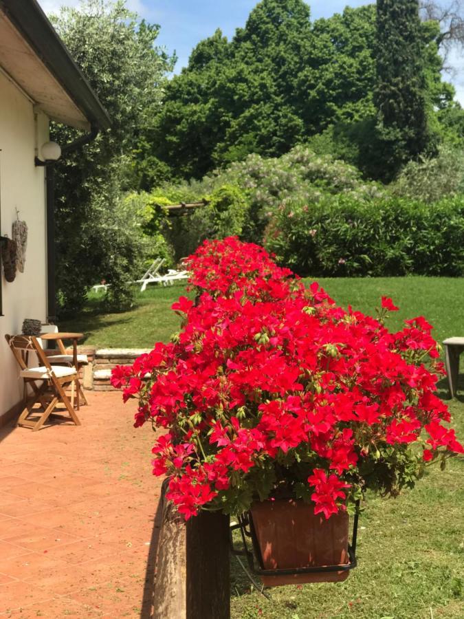 Agriturismo B&B Le Casette Sul Garda Cavaion Veronese Zewnętrze zdjęcie