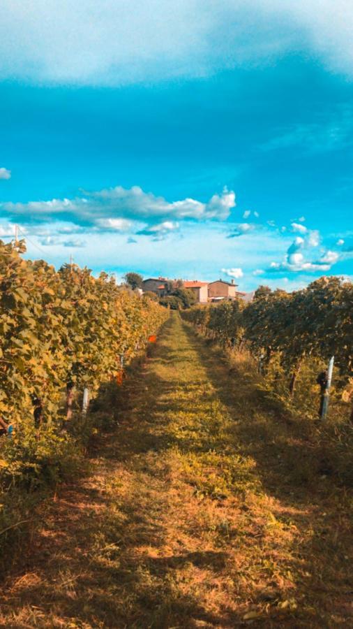 Agriturismo B&B Le Casette Sul Garda Cavaion Veronese Zewnętrze zdjęcie