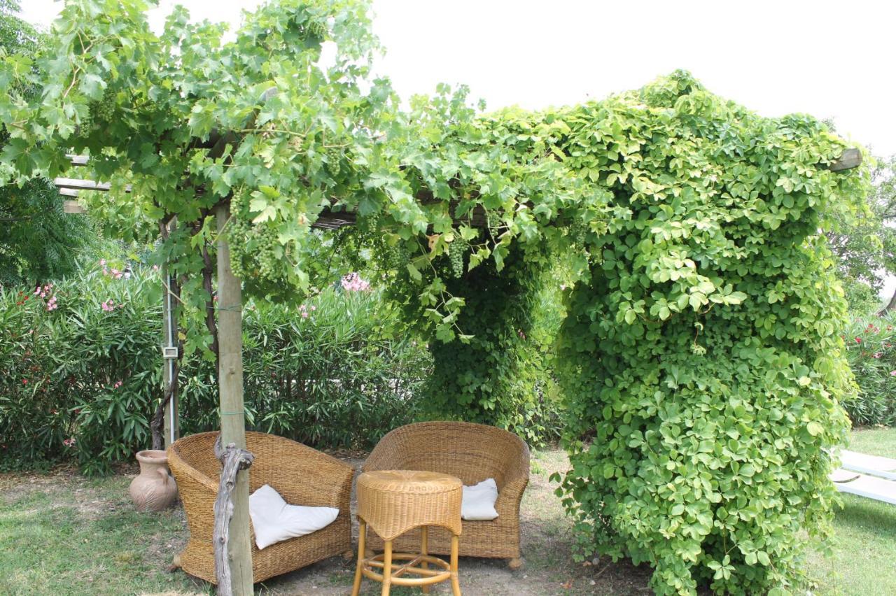 Agriturismo B&B Le Casette Sul Garda Cavaion Veronese Zewnętrze zdjęcie