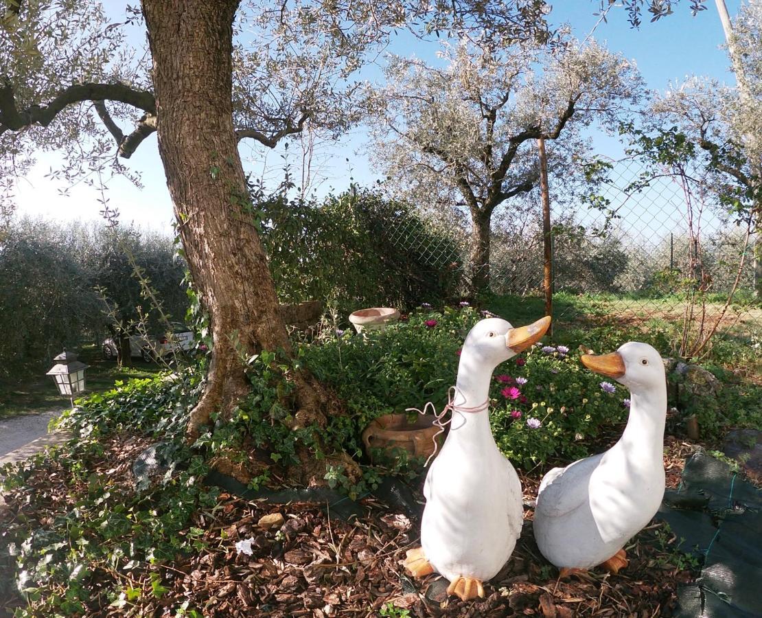 Agriturismo B&B Le Casette Sul Garda Cavaion Veronese Zewnętrze zdjęcie